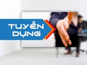 TUYỂN DỤNG BUSINESS ANALYST (GẤP)